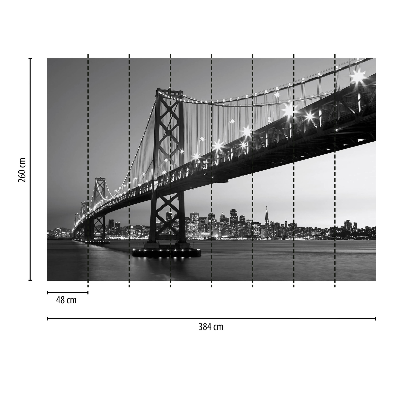             Schwarz-Weiß Fototapete San Francisco Skyline & Brücke
        