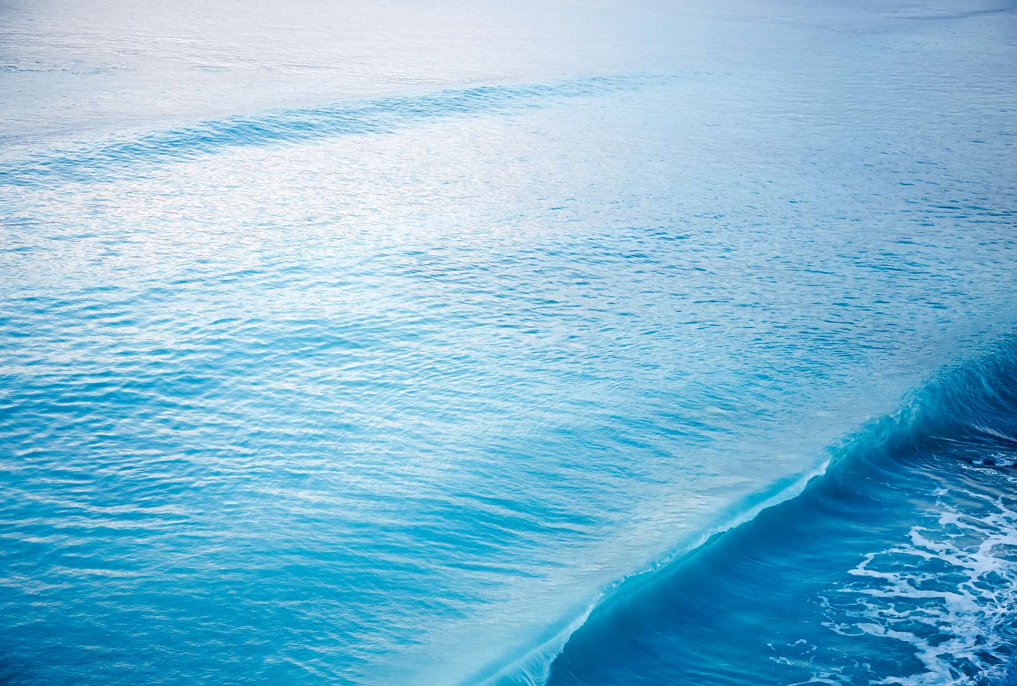             Fototapete einer brechenden Welle im Meer
        