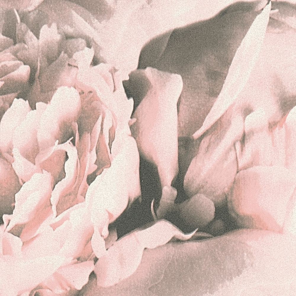             Blumentapete Rosen mit Schimmer Effekt – Rosa, Creme
        