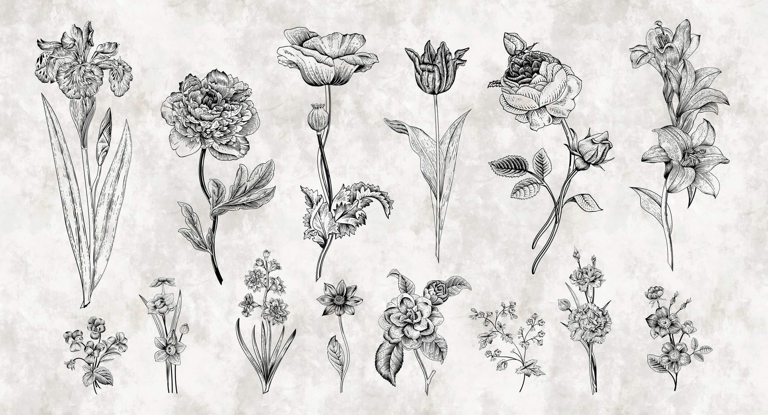             Fototapete Blumen im Zeichenstil – Weiß, Schwarz
        