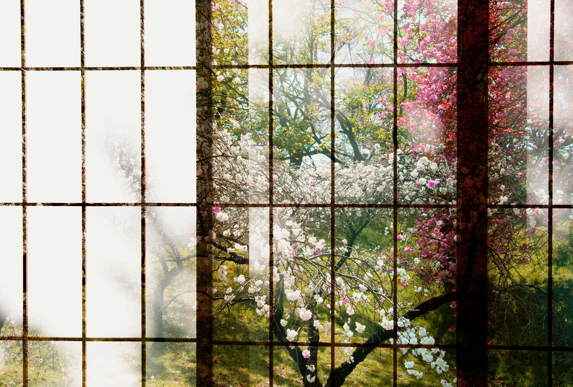             Orchard 1 - Fototapete, Fenster mit Garten Ausblick – Grün, Rosa | Perlmutt Glattvlies
        