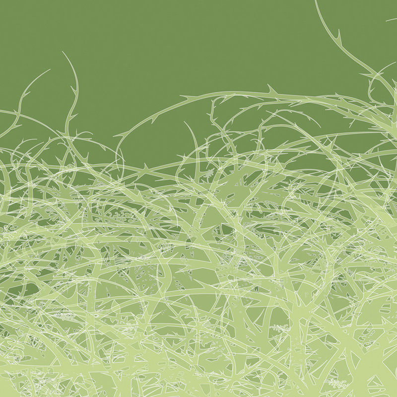 Abstrakte Fototapete Ranken, minimalistischer Stil – Grün, Weiß
