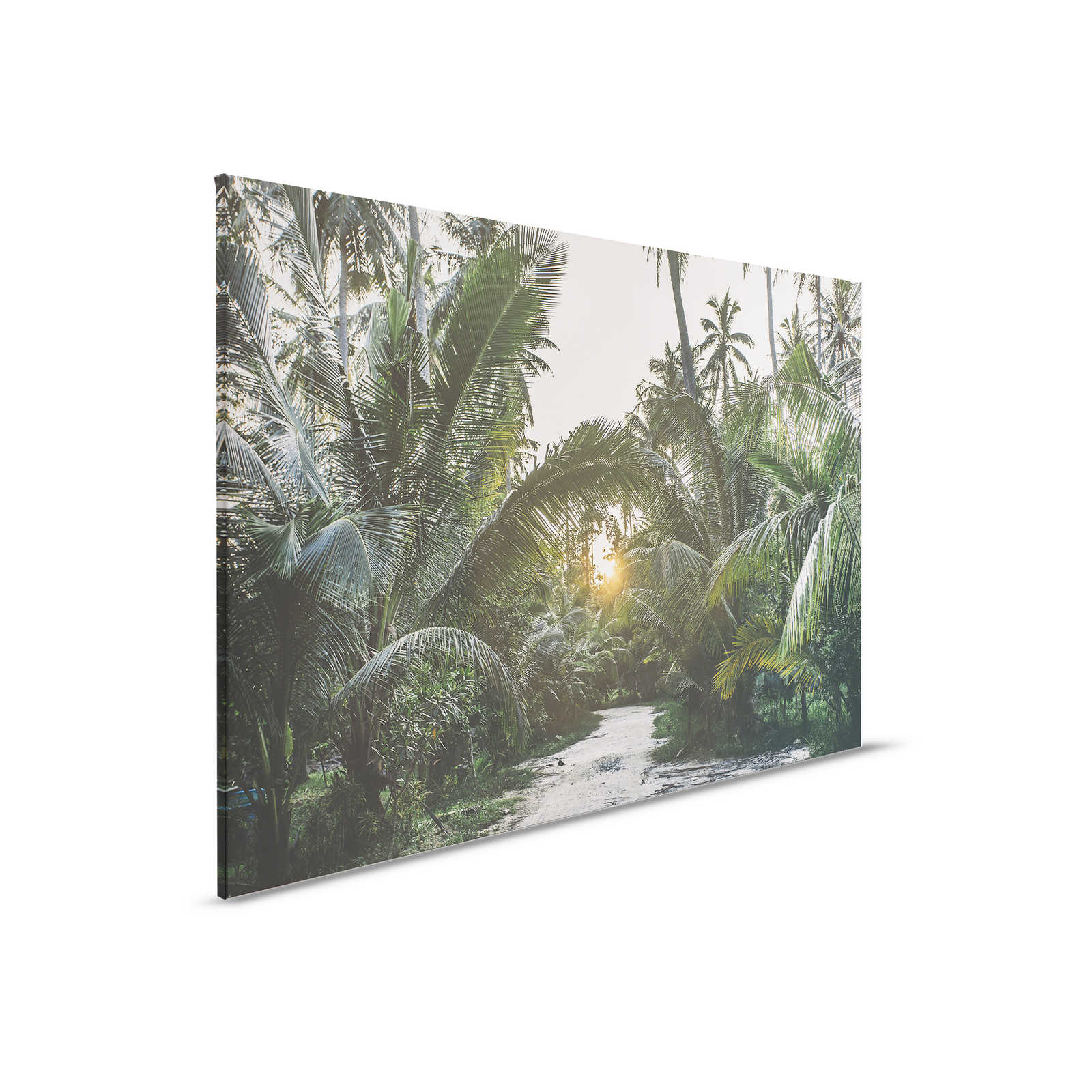 Leinwandbild mit Weg durch einen tropischen Dschungel – 0,90 m x 0,60 m
