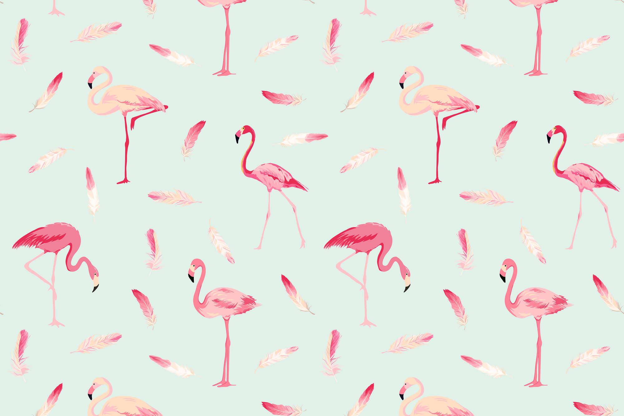             Grafik Fototapete Flamingos und Federn auf Perlmutt Glattvlies
        