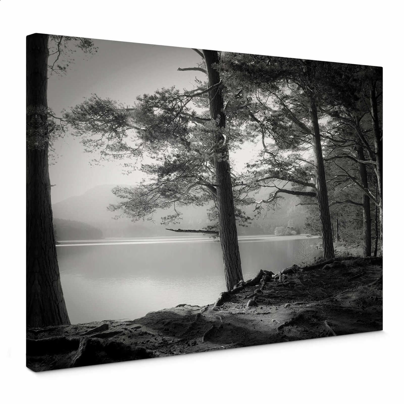 Schwarz-Weiß Leinwandbild Wald & See von Fuhg – 0,70 m x 0,50 m
