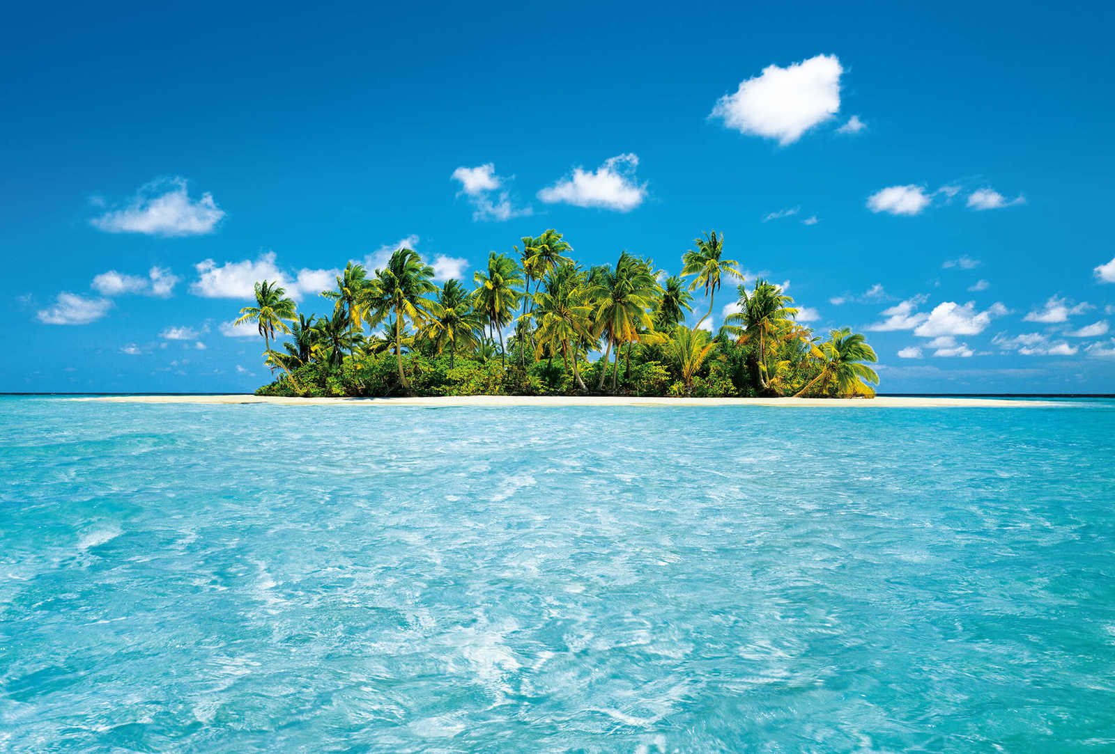Südsee-Paradies Fototapete Palmeninsel Malediven
