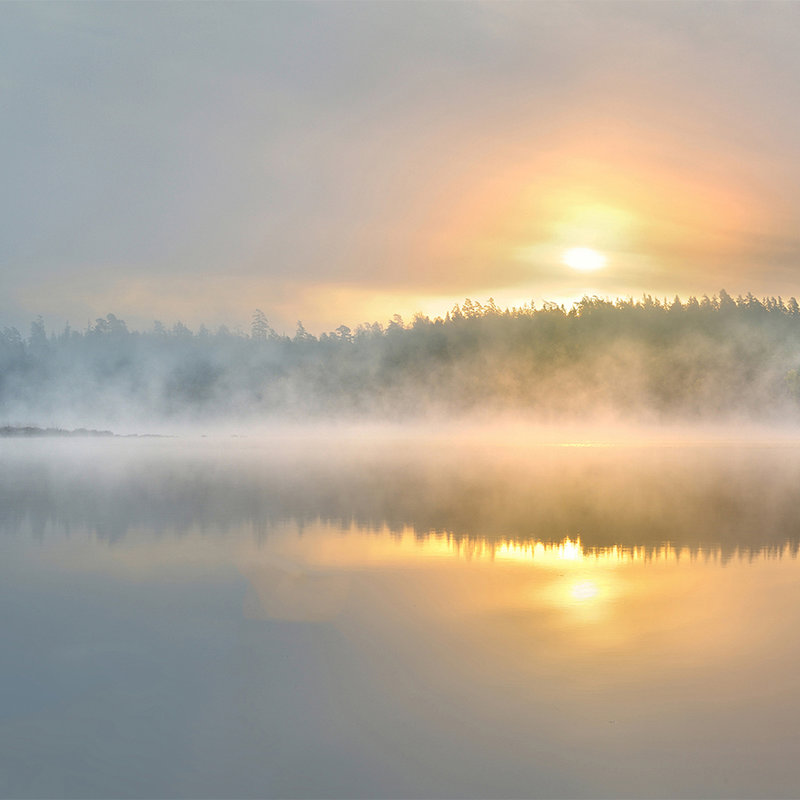 Fototapete nebeliger Morgen am See – Strukturiertes Vlies
