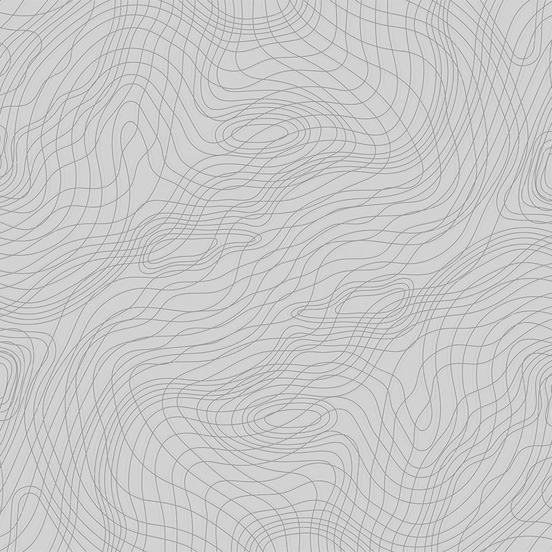         Fototapete Linienmuster, minimalistisch & organisch – Grau, Schwarz
    
