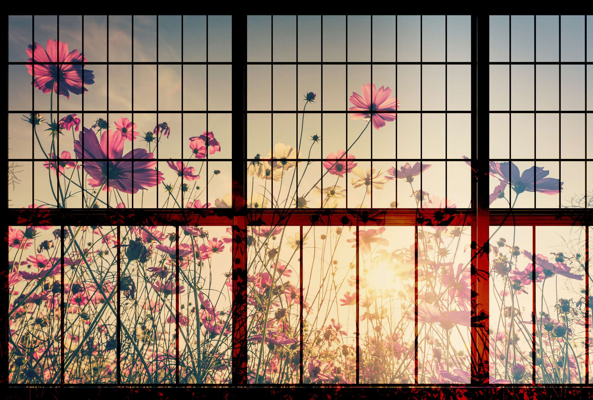             Meadow 1 - Sprossenfenster Fototapete mit Blumenwiese – Grün, Rosa | Perlmutt Glattvlies
        