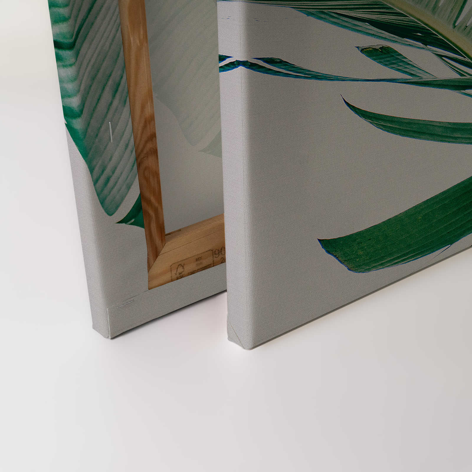             Leinwandbild mit Palmenblättern natürliches Motiv – 0,90 m x 0,60 m
        
