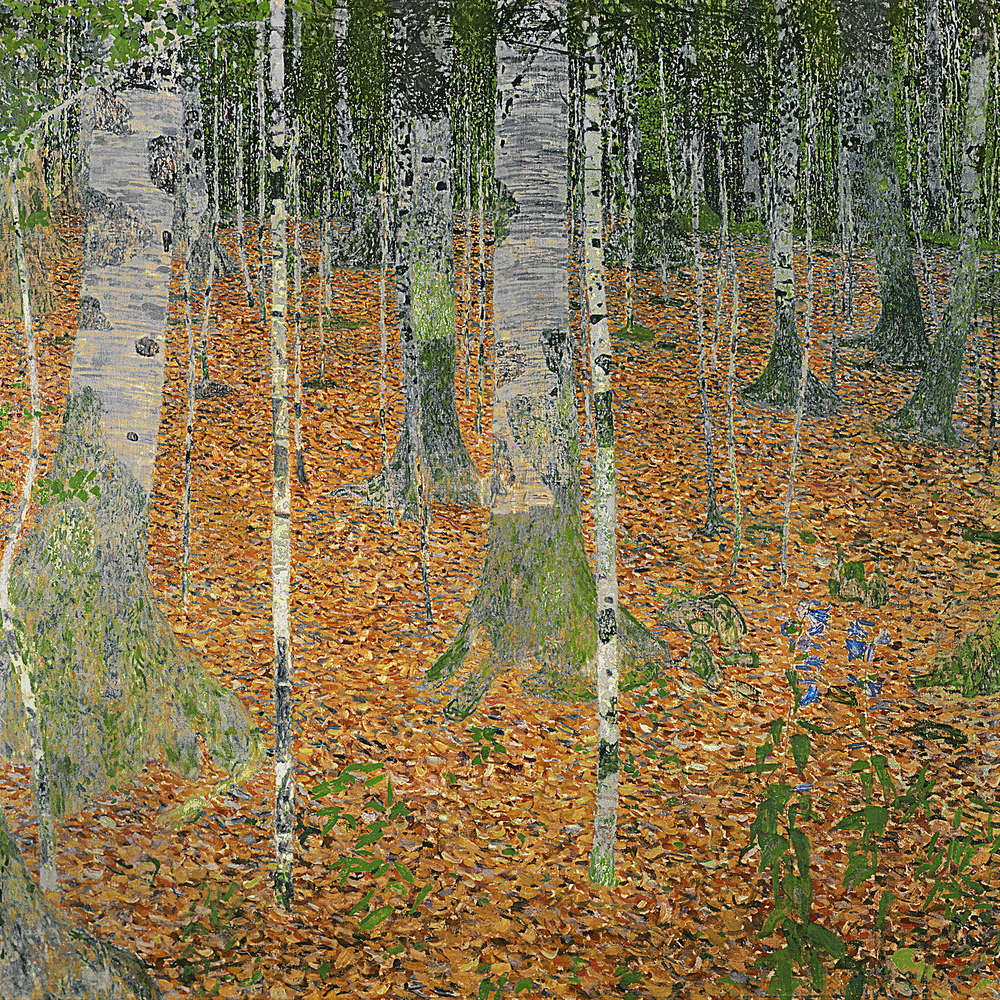             Fototapete "Der Birkenwald" von Gustav Klimt
        