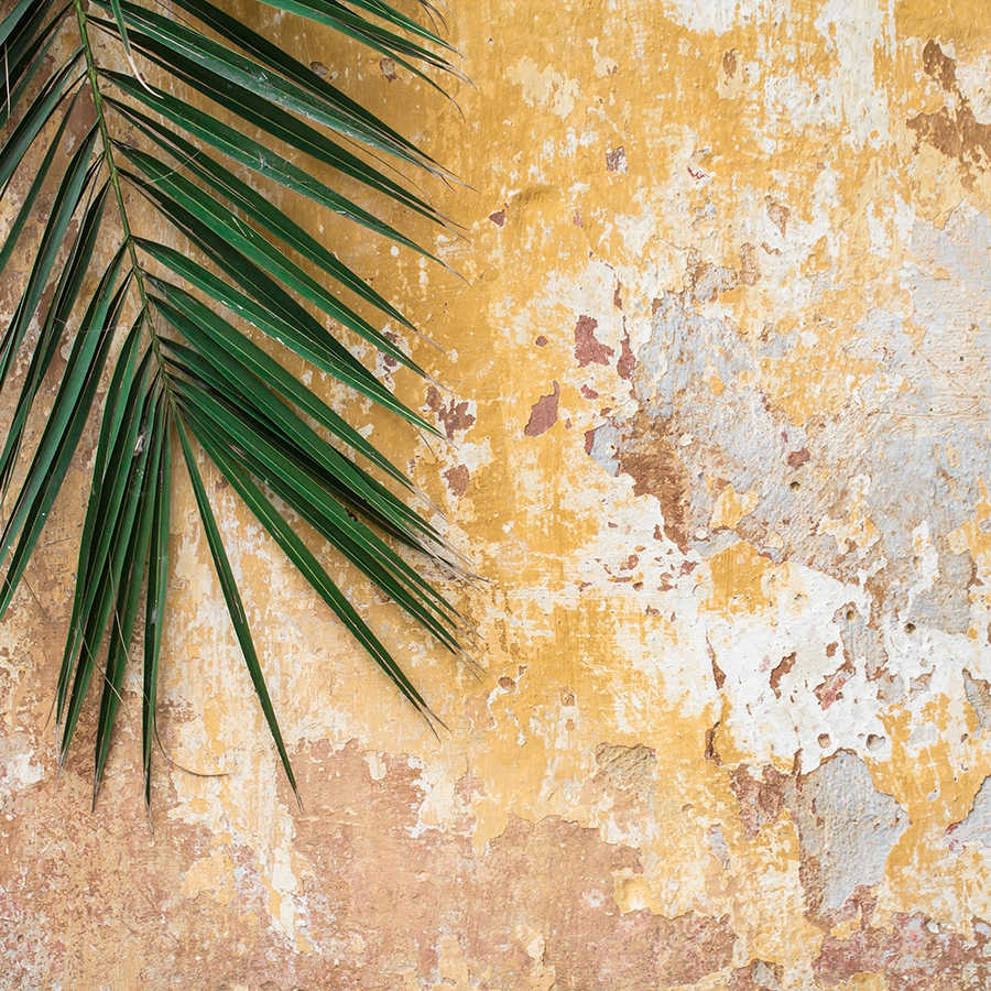Natur Fototapete Palmenblatt vor Steinmauer auf Premium Glattvlies

