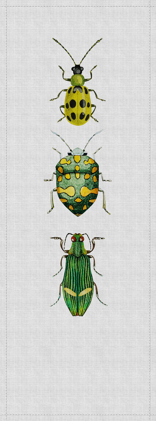             Buzz panels 4 - Digitaldruckpaneel mit bunten Käfern in naturleinen Struktur – Gelb, Grau | Struktur Vlies
        