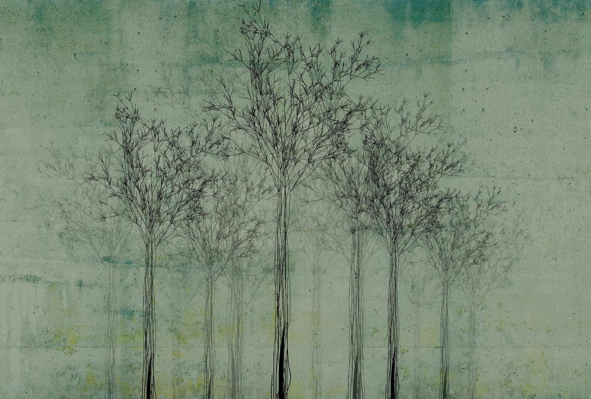             Fototapete Baum Zeichnung & abstraktem Hintergrund – Grün, Schwarz
        
