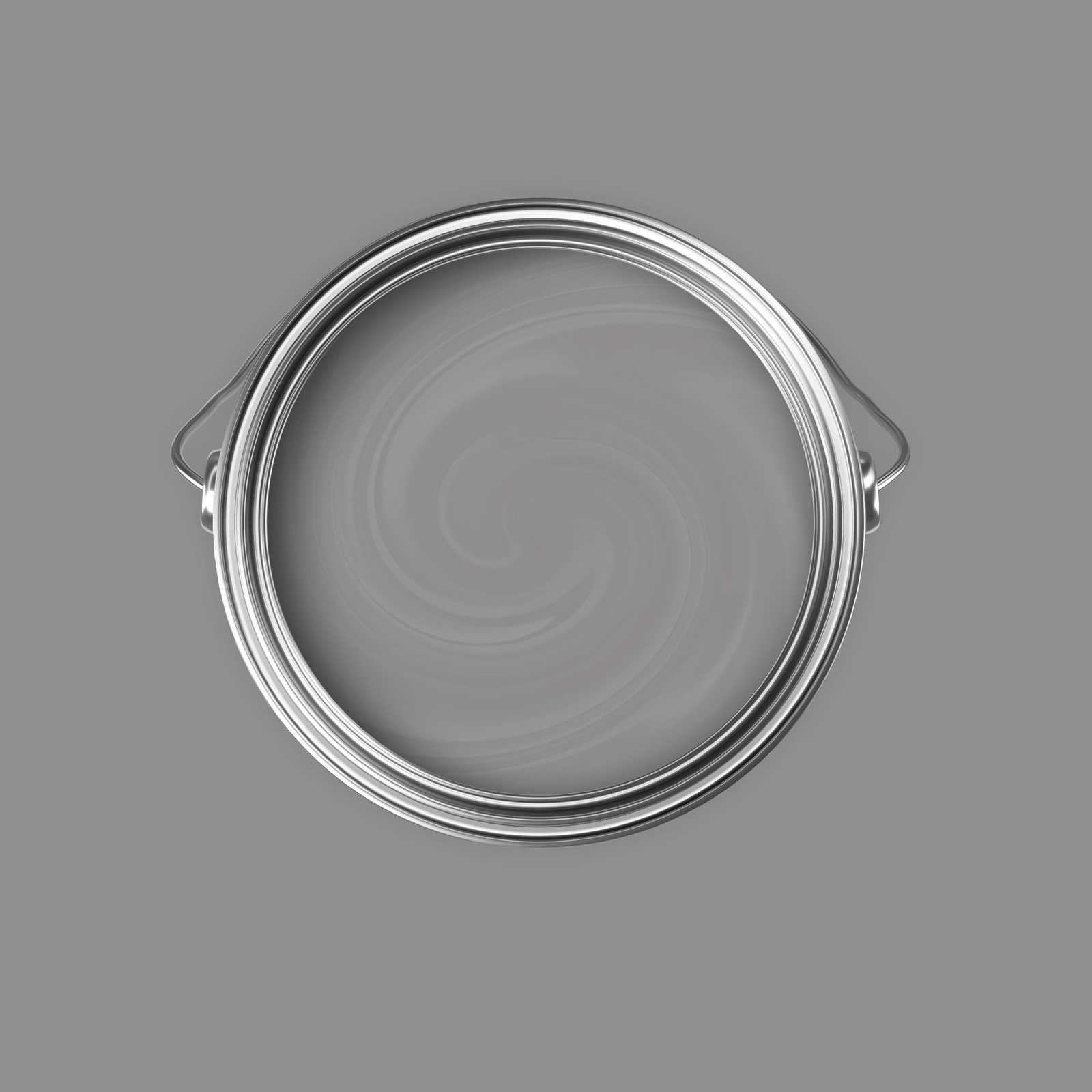             Premium Wandfarbe überzeugendes Steingrau »Industrial Grey« NW103 – 5 Liter
        