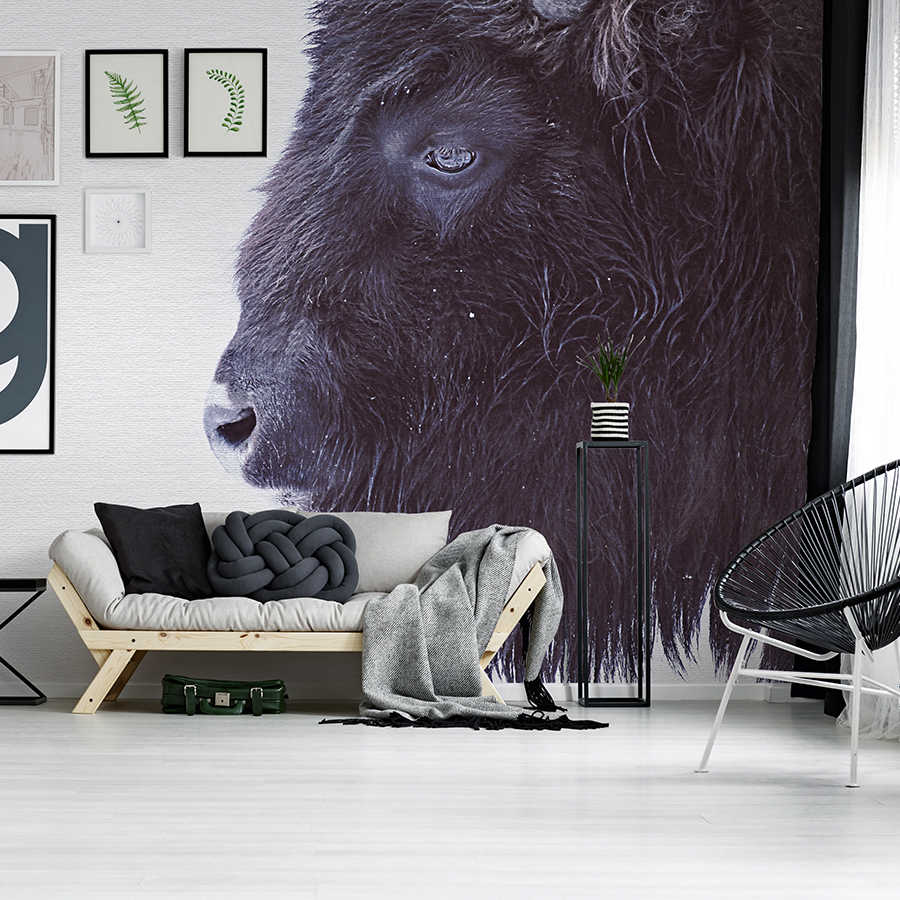 Tierische Fototapete mit Schwarzem Büffel im XXL Design
