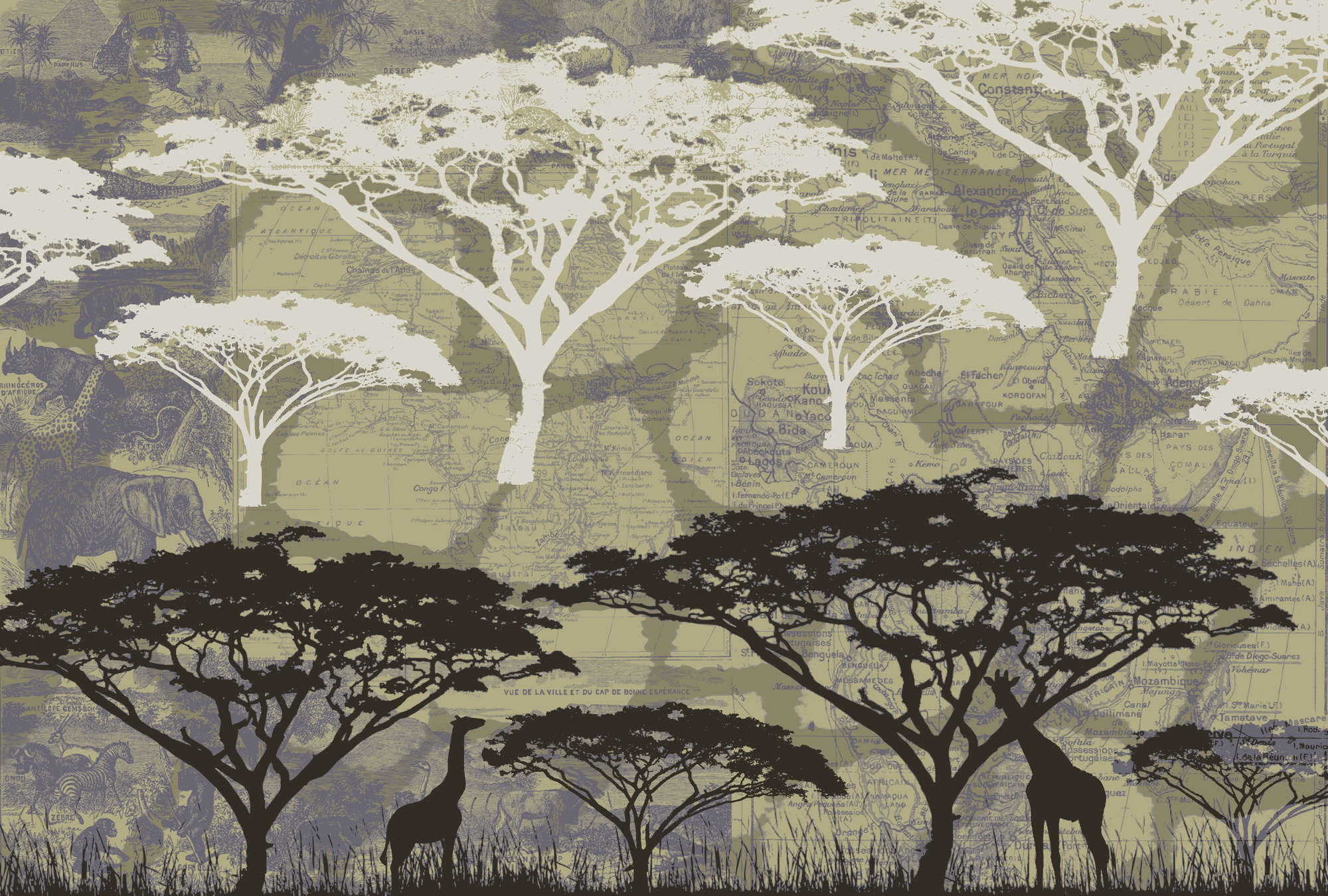             Savanne – Fototapete mit Baummotiv im African Stil
        