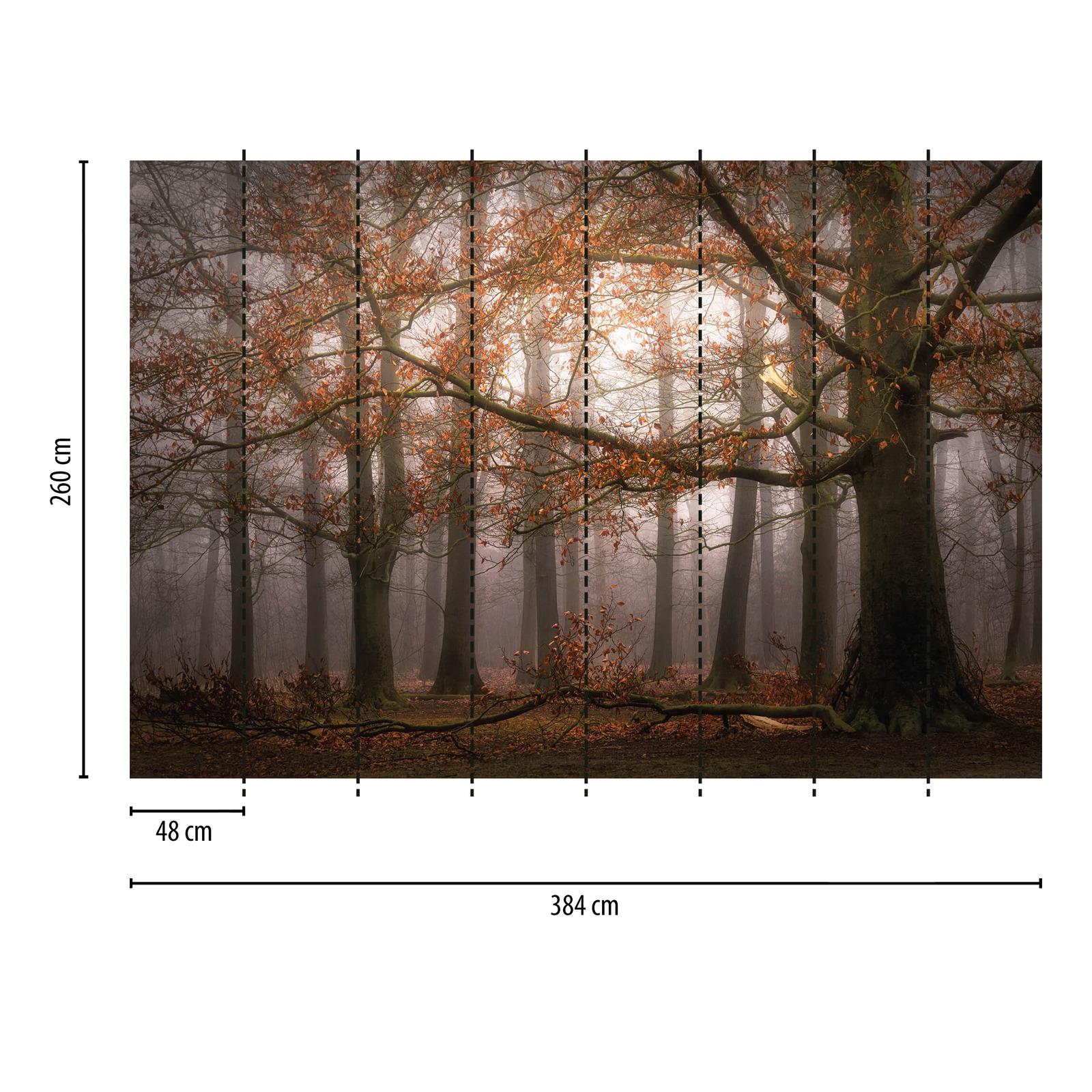             Fototapete Wald im Herbst – Braun, Orange
        