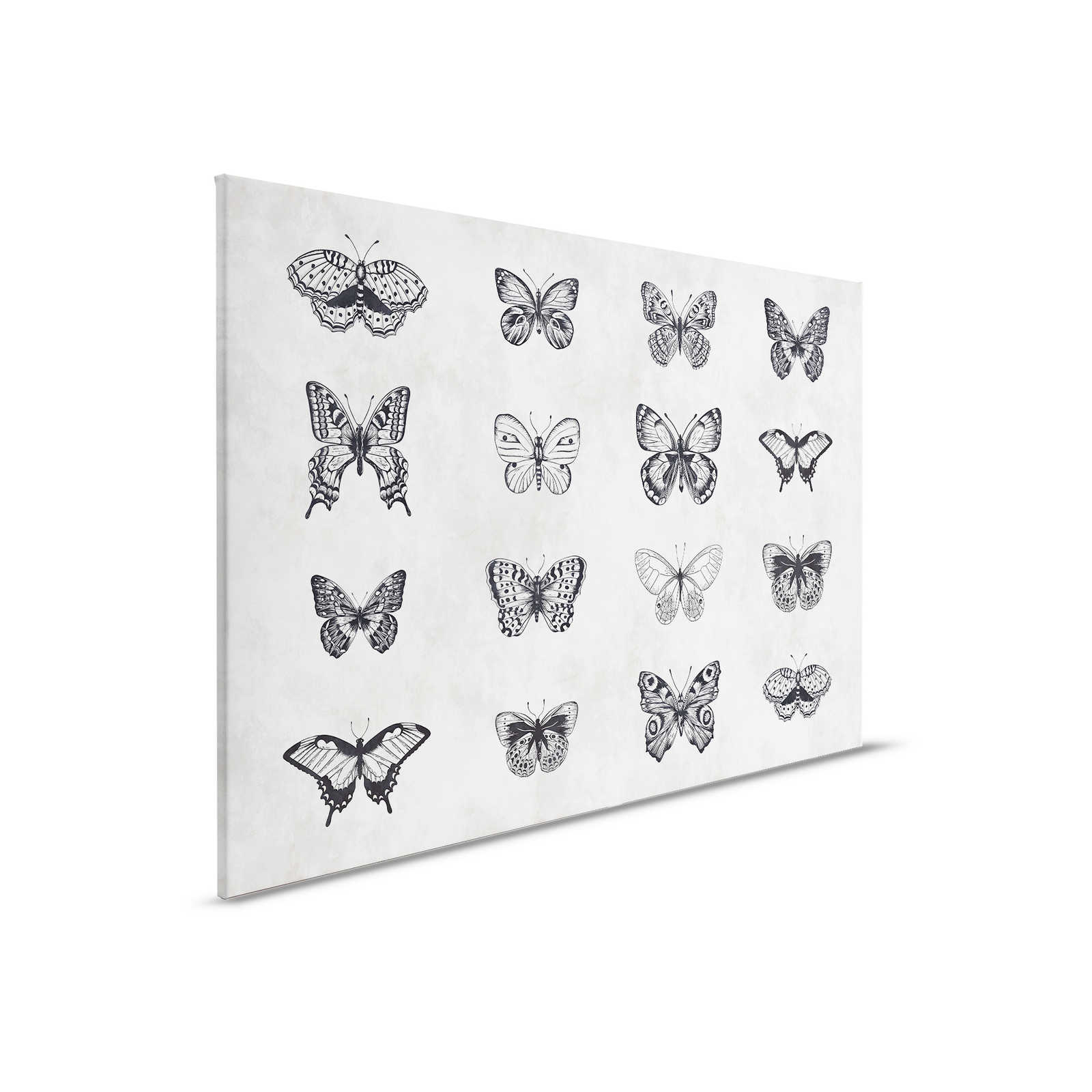         Schmetterling Leinwandbild Schwarz-Weiß Zeichnungen – 0,90 m x 0,60 m
    