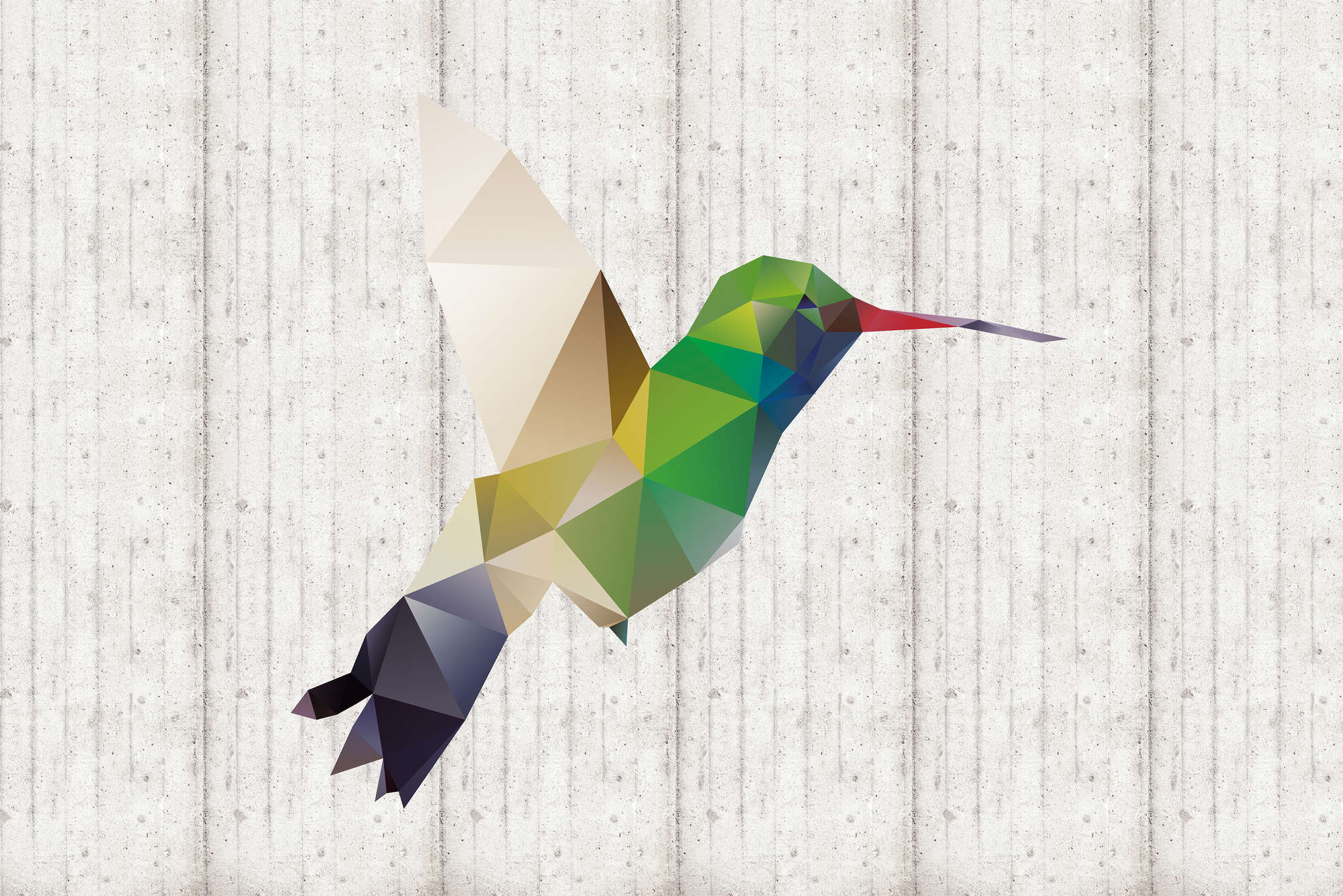             Grafik Fototapete Kolibri Motiv auf Matt Glattvlies
        