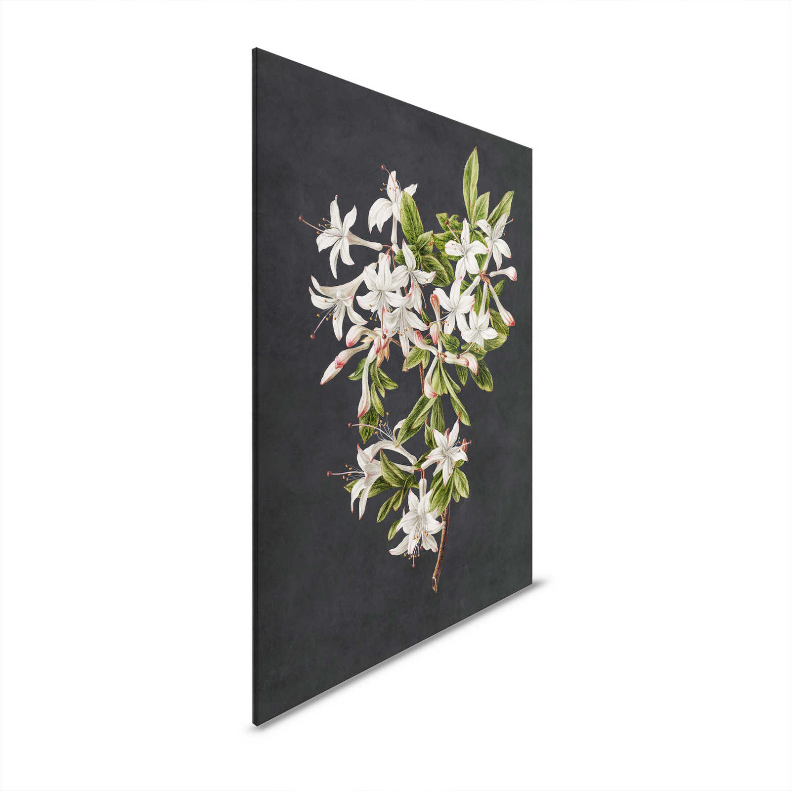 Midnight Garden 2 - Schwarzes Leinwandbild Blütenzweig weiße Blumen – 0,80 m x 1,20 m
