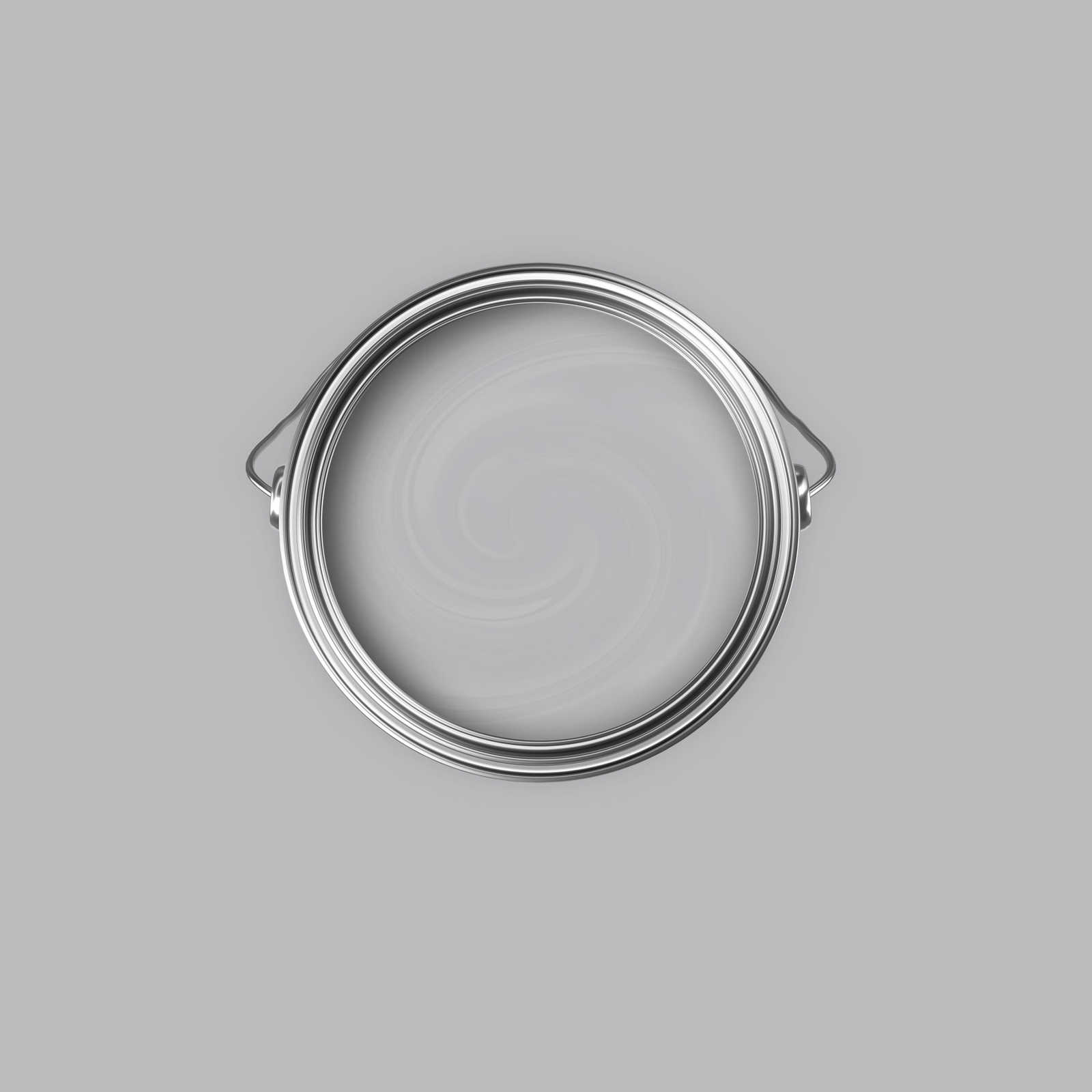             Premium Wandfarbe ausgeglichenes Silber »Industrial Grey« NW101 – 2,5 Liter
        