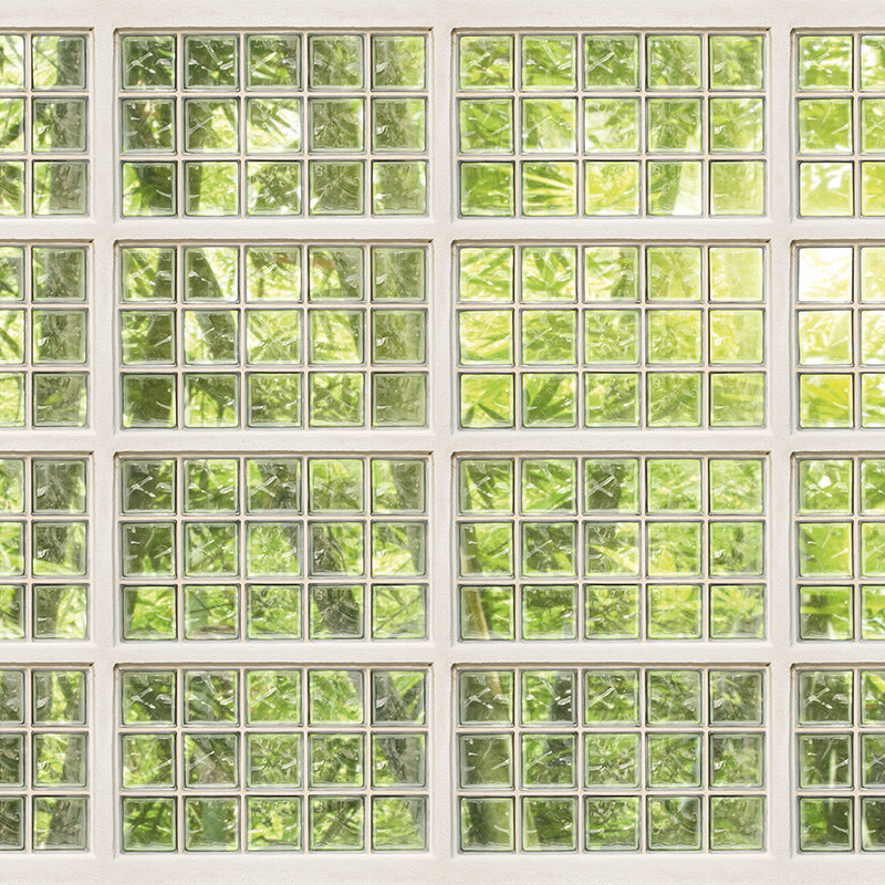         Fototapete Fenster mit Waldblick – Grün, Weiß
    