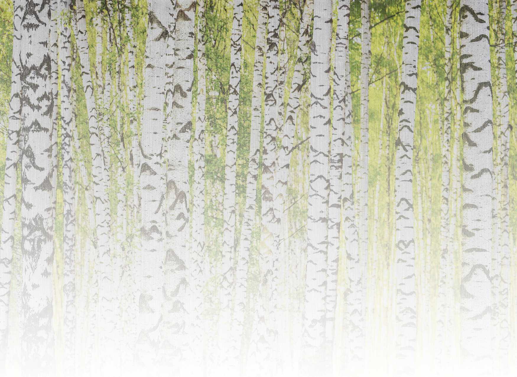             Fototapete mit Birkenwald in Leinenstruktur-Optik – Grün, Weiß, Schwarz
        
