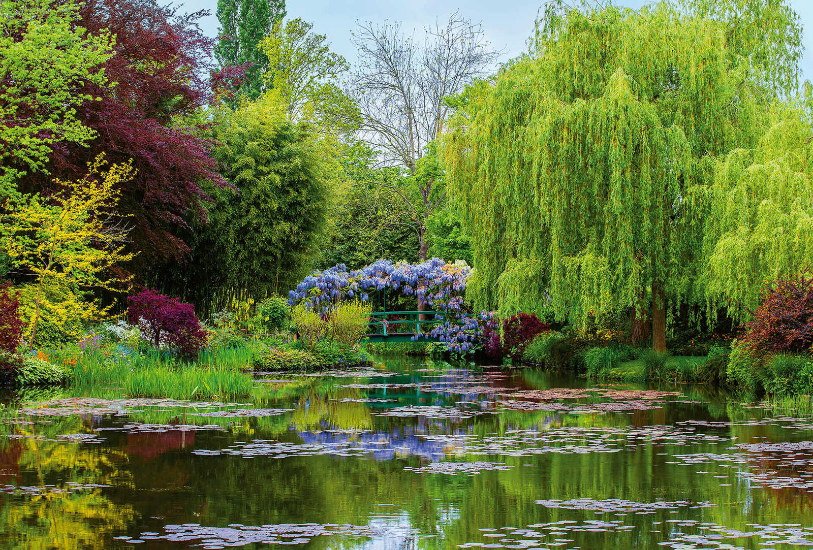            Fototapete Natur Garten mit See – Grün, Rot, Blau
        