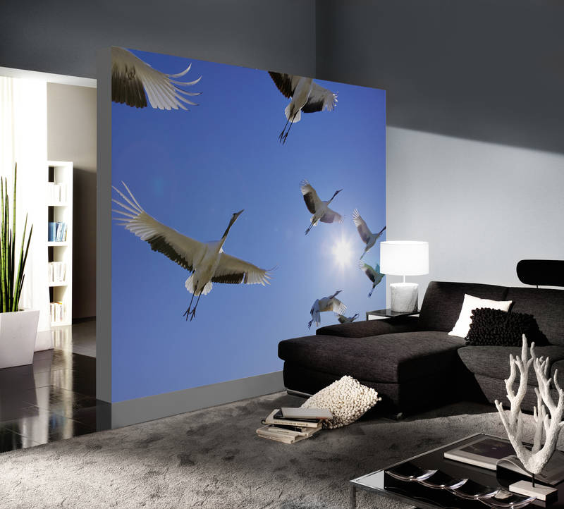             Vogelschwarm – Fototapete mit Zugvögeln & blauem Himmel
        