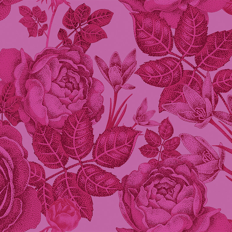 Blumige Fototapete Rosen am Strauch – Rosa
