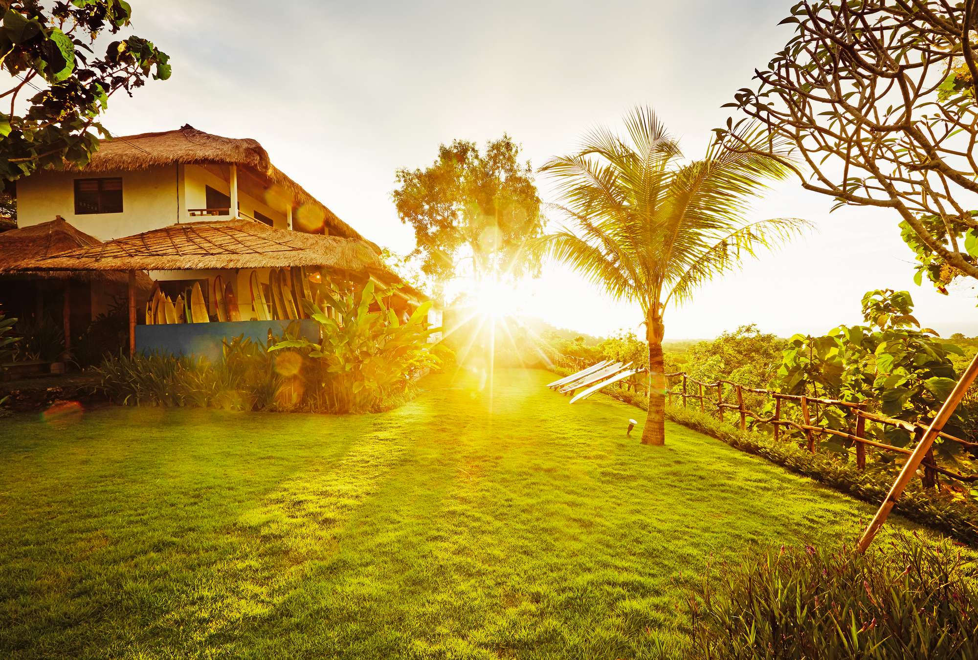             Fototapete Leben auf Bali – Blockhütte mit Palmengarten
        