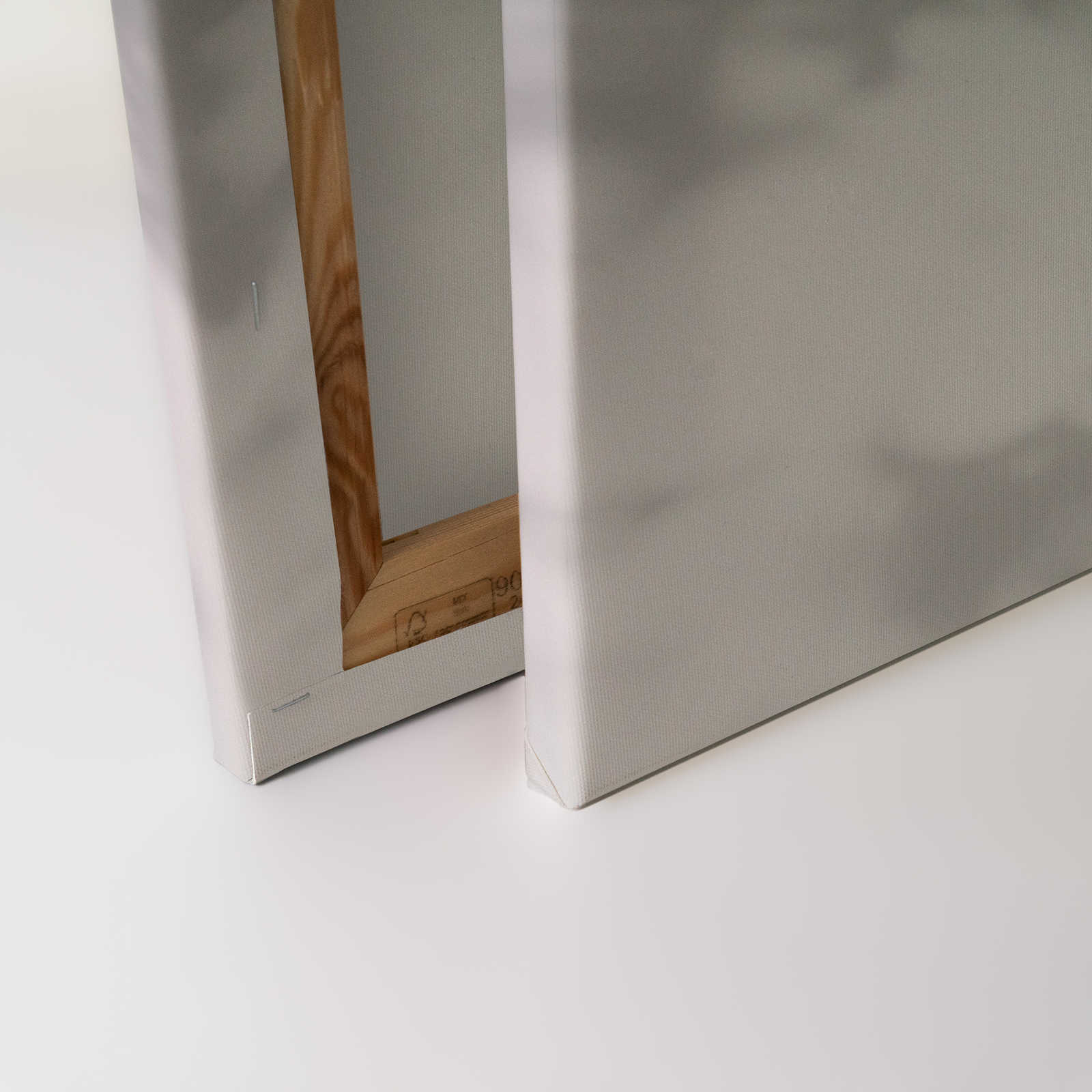             Light Room 1 - Leinwandbild Natur Schatten in Grau & Weiß – 1,20 m x 0,80 m
        