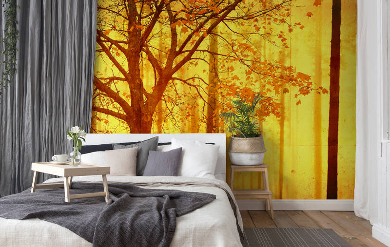             Fototapete Wald mit Betonstruktur & Farbverlauf – Orange, Gelb, Schwarz
        