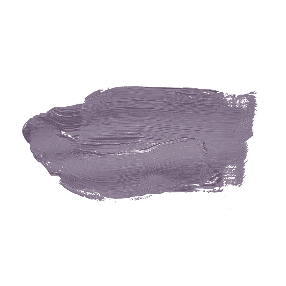             Wandfarbe in kräftigem Violett »Artful Aubergine« TCK2006 – 5 Liter
        