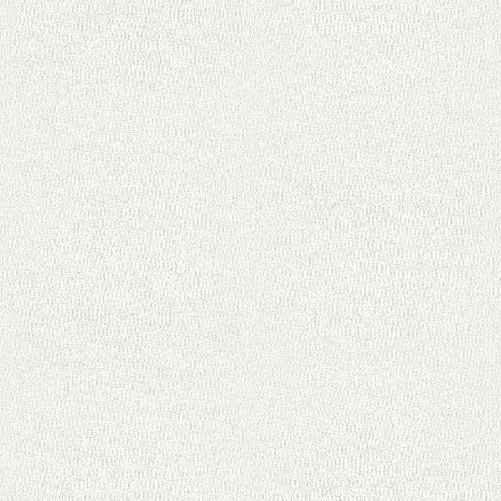 Überstreichbare Vliestapete doppeltbreit mit leichter Struktur – Weiß
