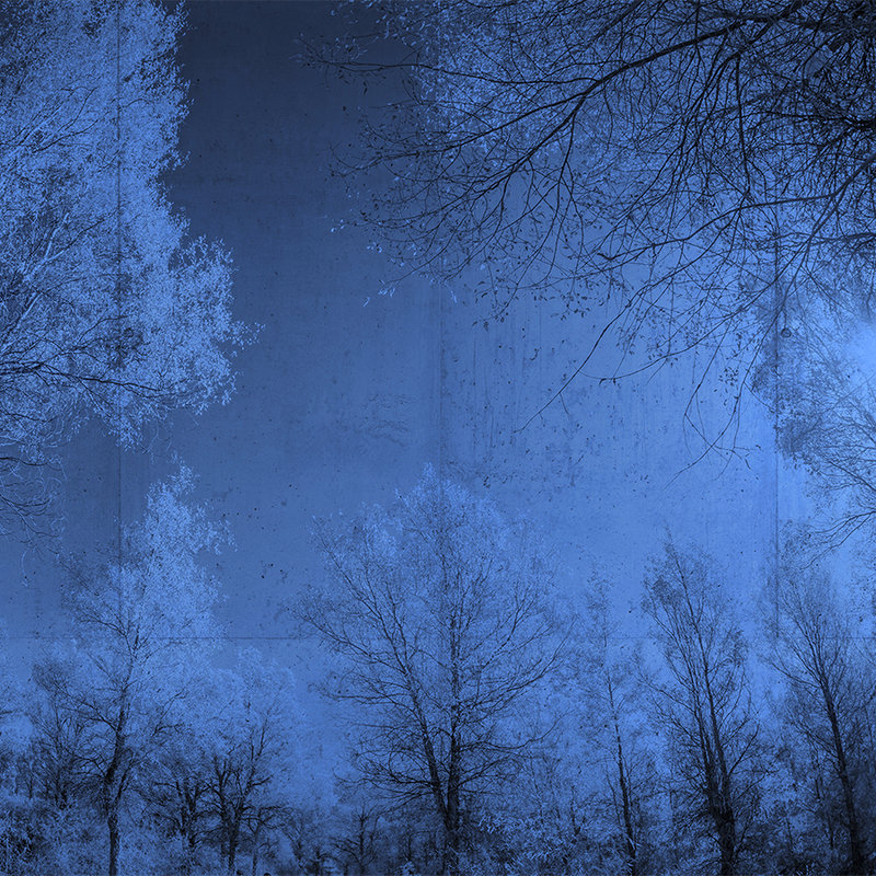 Fototapete Betonoptik & Wald-Landschaft – Blau, Schwarz
