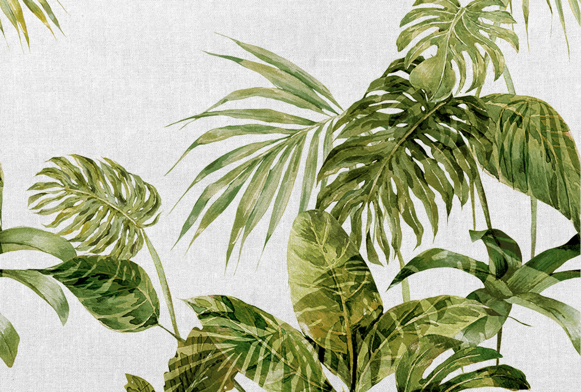             Tropische Fototapete Monstera-Blättern im Aquarell Stil – Grün, Grau
        