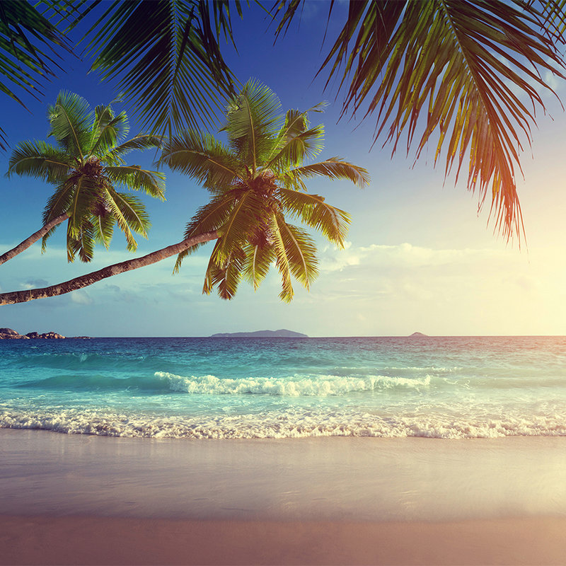 Fototapete Seychellen mit Palmen – Perlmutt Glattvlies
