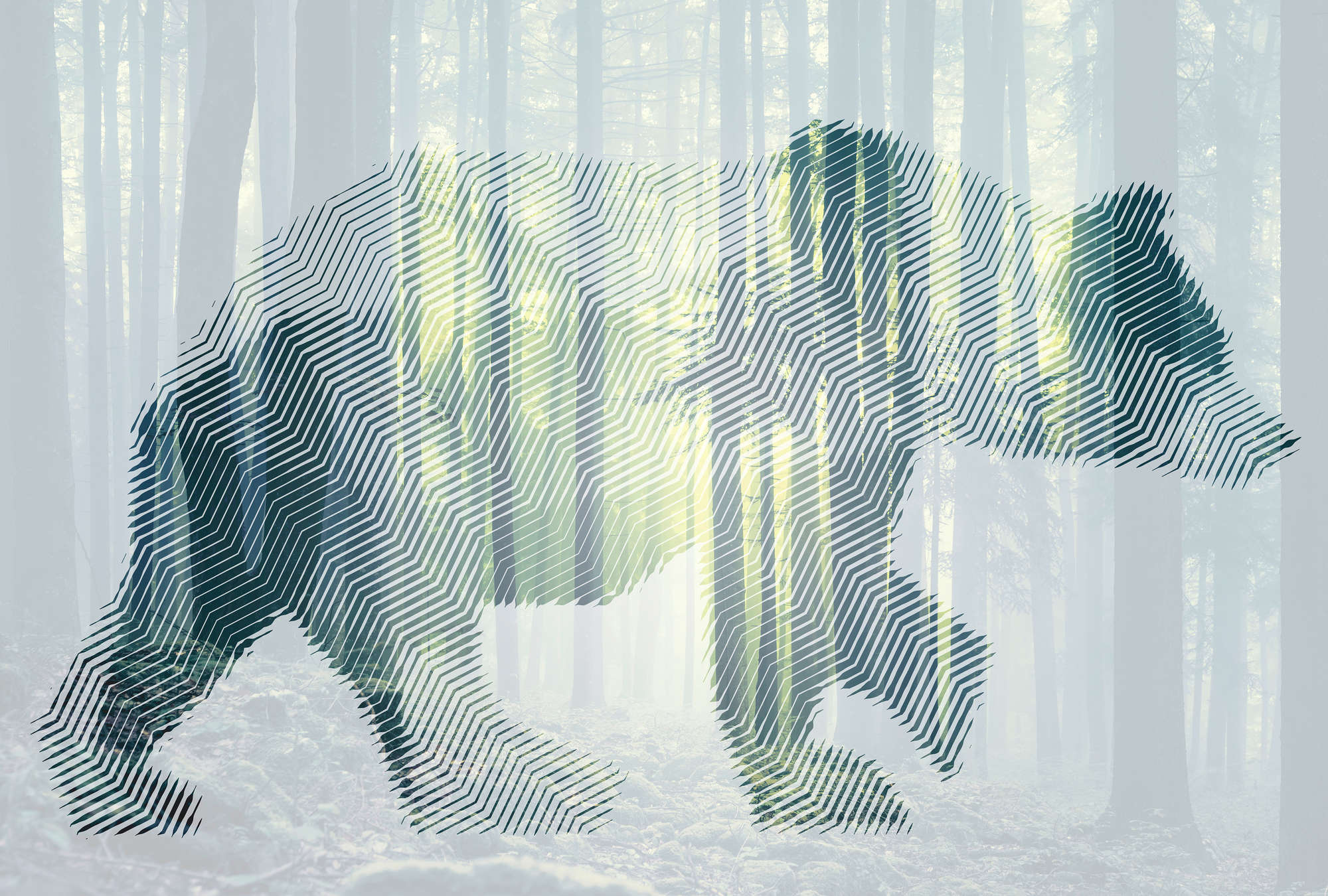            Fototapete Wald mit Bär & Grafikdesign – Grün, Weiß, Gelb
        