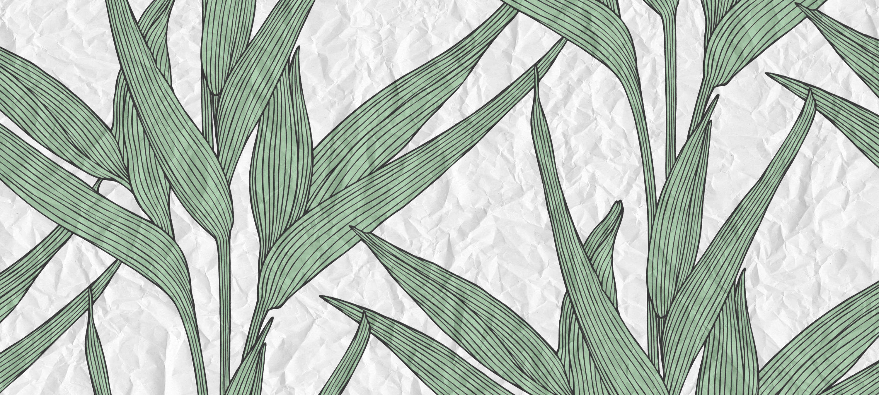             Fototapete Blättern Muster & Papier-Optik – Grün, Weiß
        