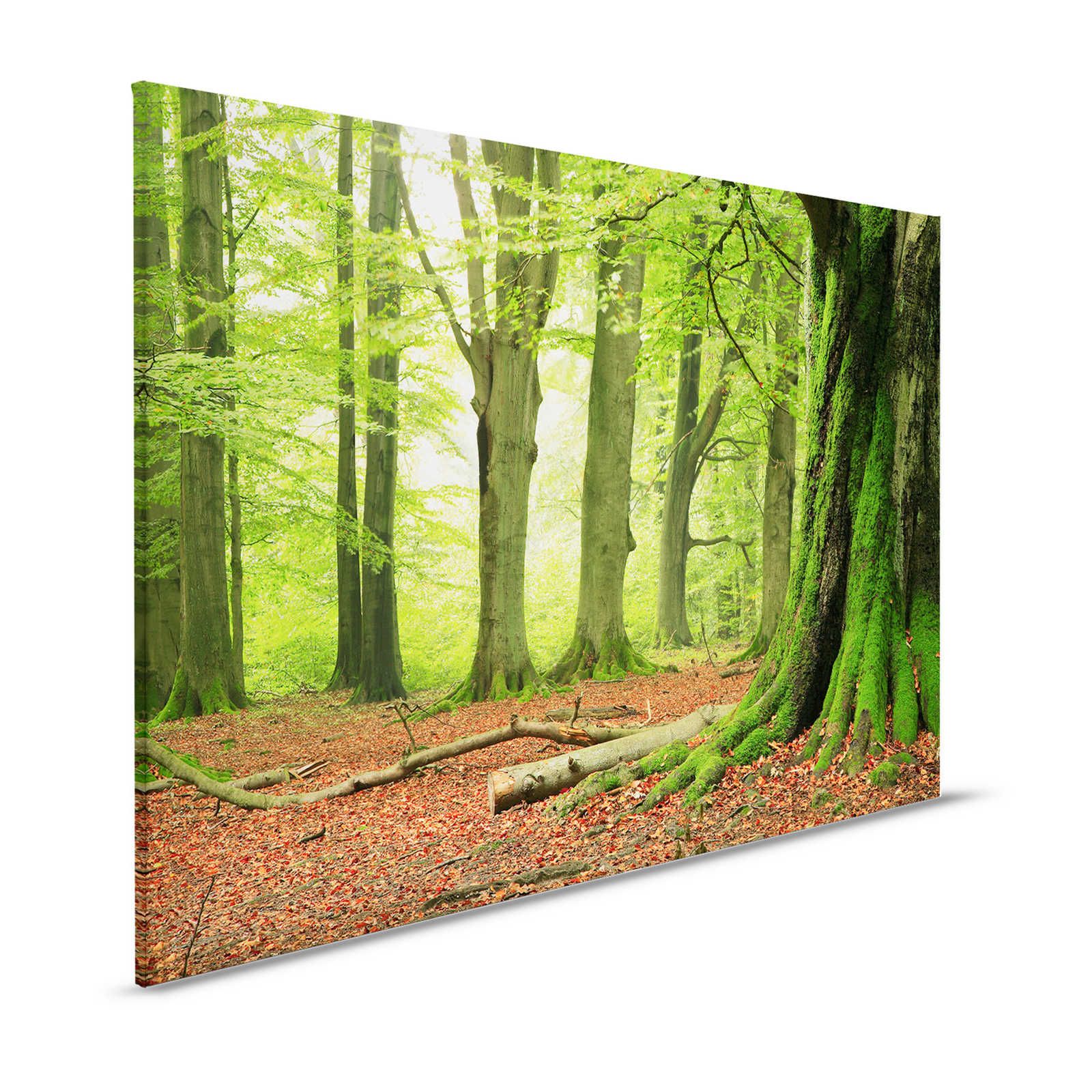 Natur Leinwandbild Wald mit Moosbäumen – 1,20 m x 0,80 m
