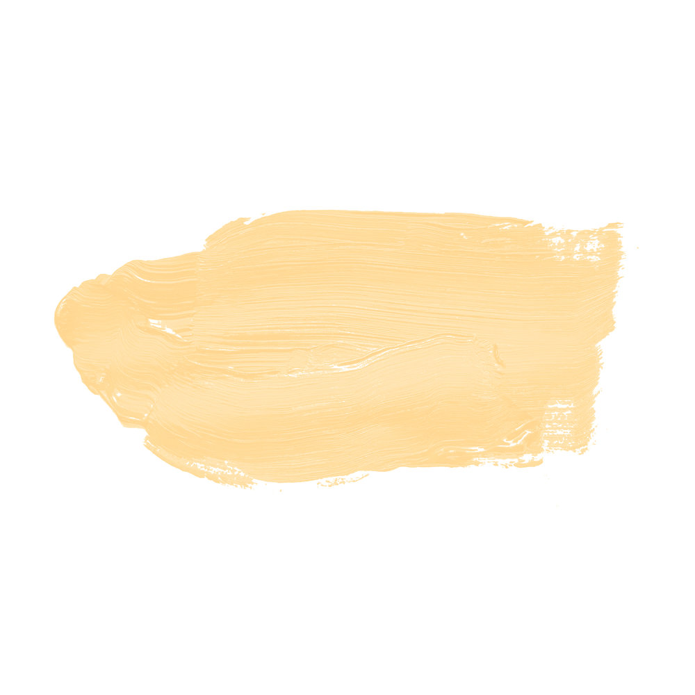             Wandfarbe in zartem Gelb »Gentel Ginger« TCK5004 – 5 Liter
        