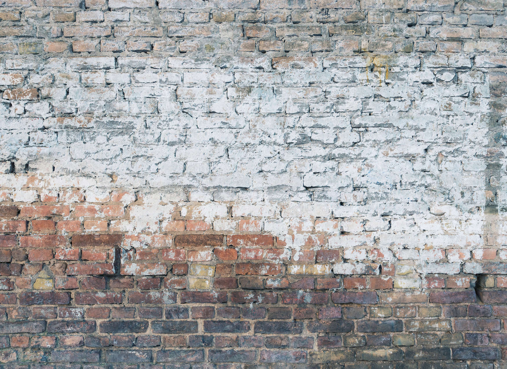             Fototapete mit Backsteinmauer im realistischen Industrialstyle – Braun, Grau, Weiß
        
