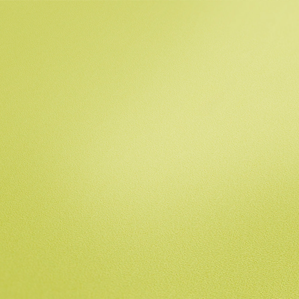            Hellgrüne Tapete einfarbig Frühlingsfarbe mit Struktureffekt
        