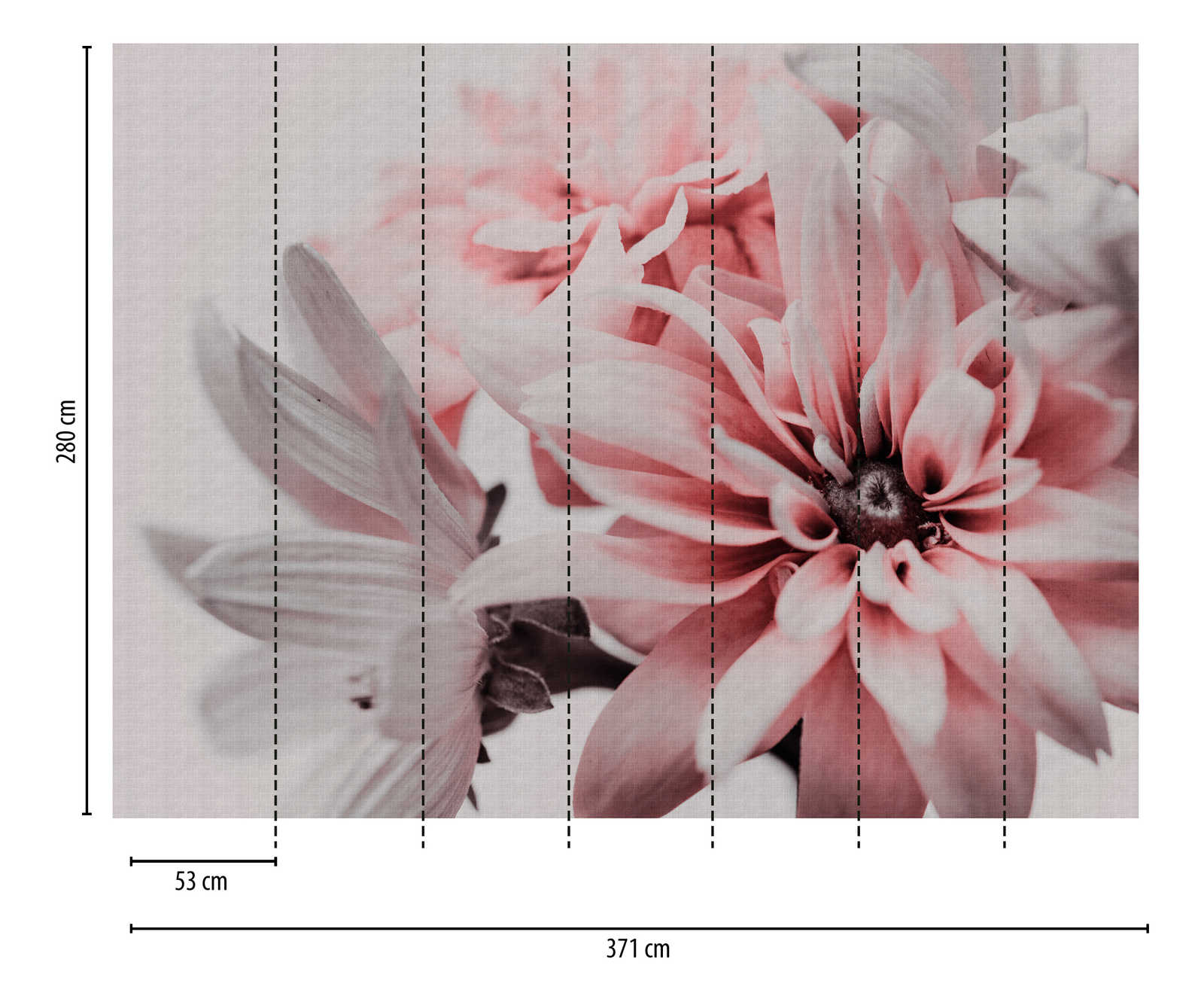            Tapeten Neuheit | Motivtapete Blumen, XXL Margeriten zart Pink
        