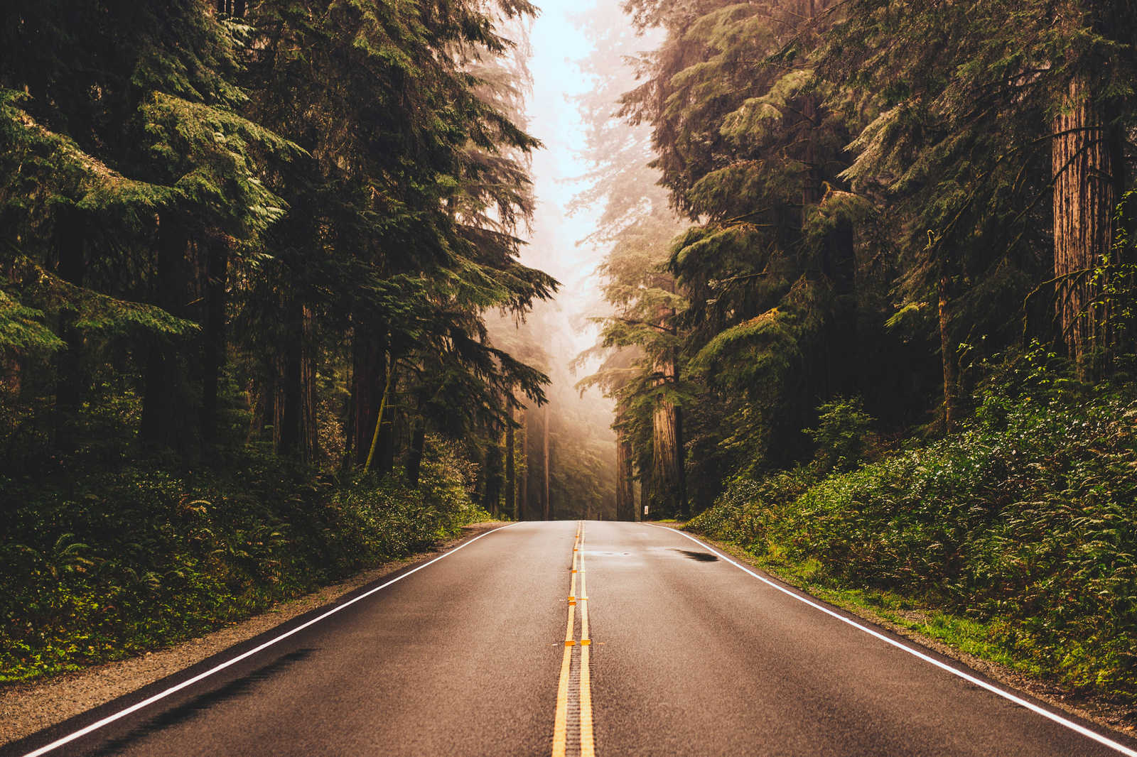             Leinwand mit American Highway im Wald – 0,90 m x 0,60 m
        