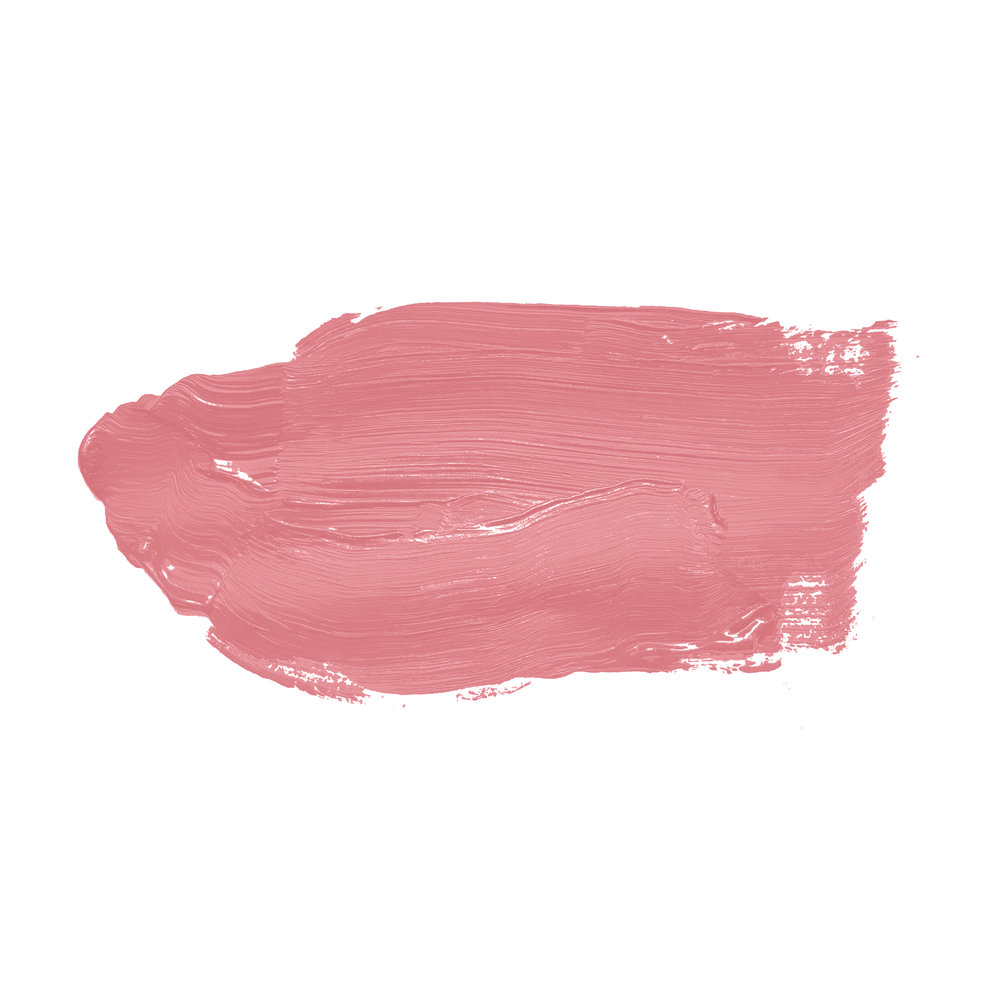             Wandfarbe in lebendigem Pink »Masterfully Macaron« TCK7010 – 5 Liter
        