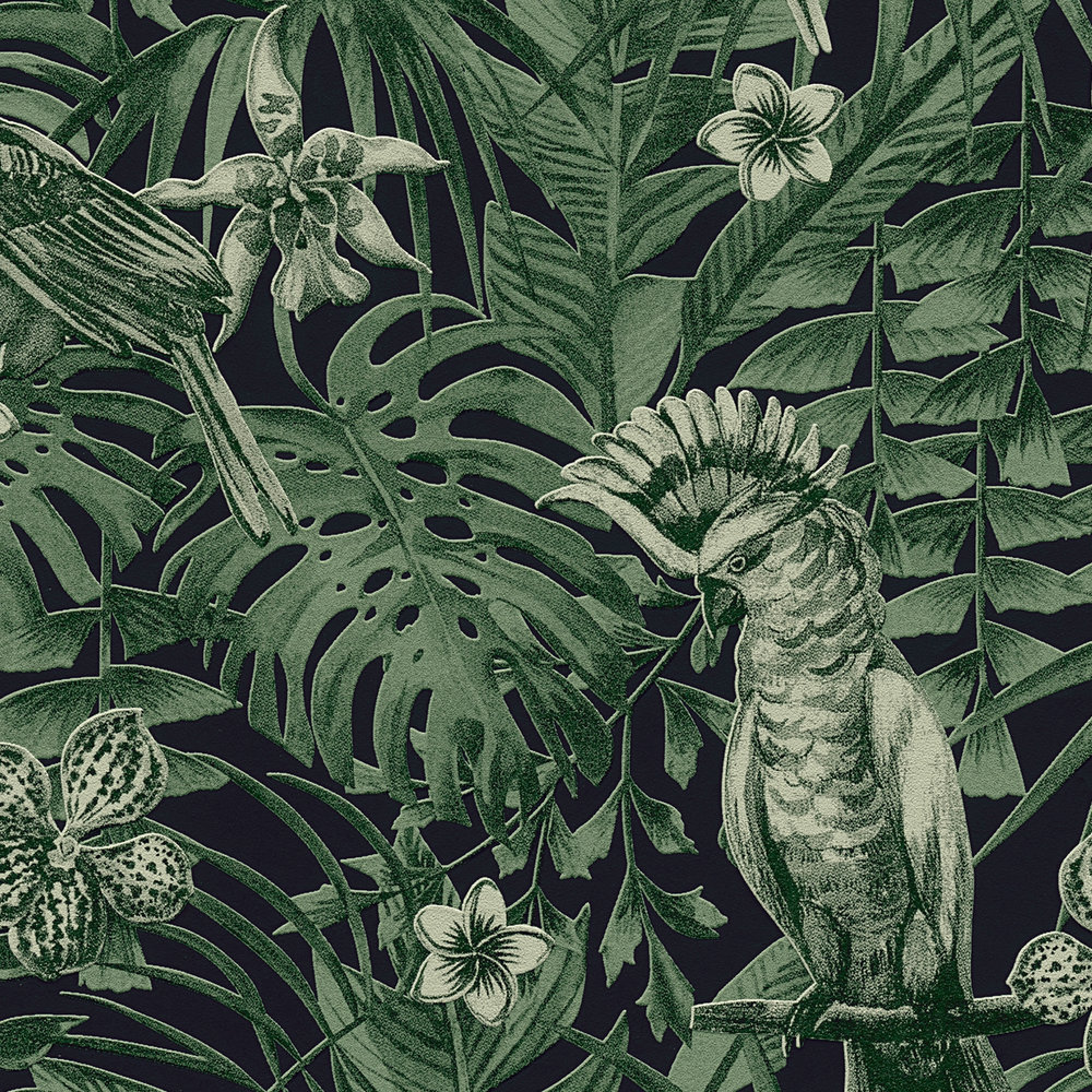             Tapete tropische Vögel & exotische Blüten – Grün, Schwarz
        