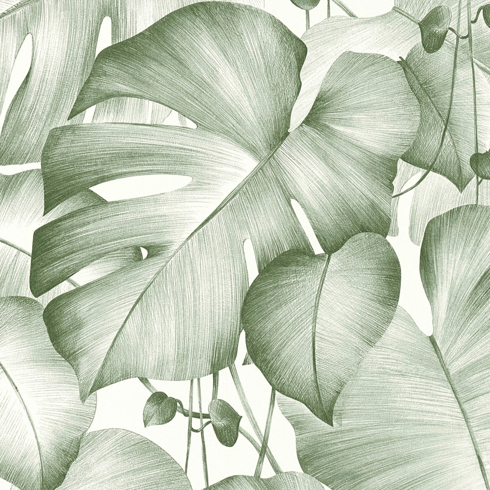             Designpanel selbstklebend mit Monstera Blättern – Grün, Weiß
        